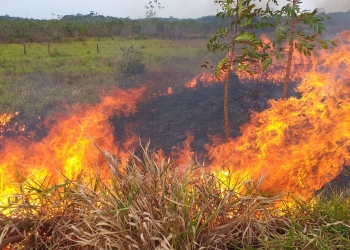 Incendio Amazonia