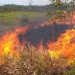 Incendio Amazonia