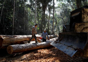 conservación del Amazonas