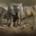 Elefantes gigantes