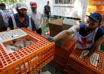 Trabajadores humanitarios