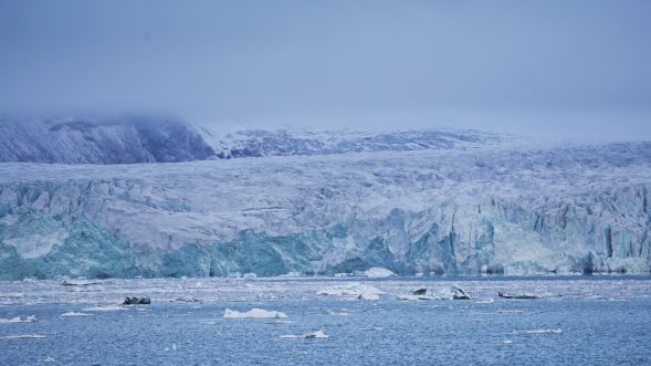 hielo Ártico