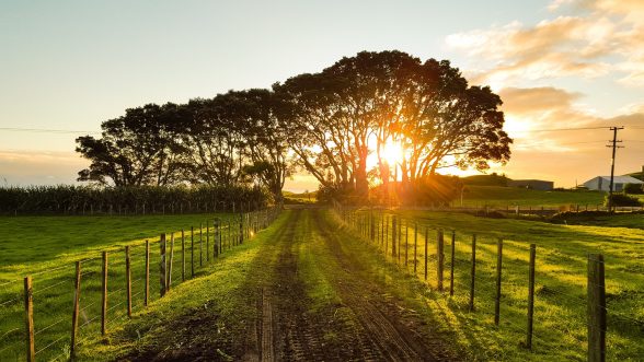 Paisaje campo agrícola