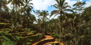 La pérdida de biodiversidad