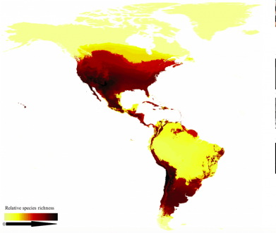 Mapa de la distribución de las abejas en el mundo.ORR ET AL. / CURRENT BIOLOGY