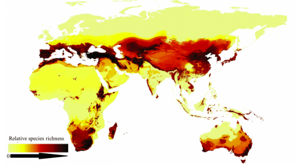 Mapa de la distribución de las abejas en el mundo.ORR ET AL. / CURRENT BIOLOGY