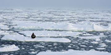 Lucha contra el cambio climático