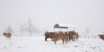 España bajas temperaturas