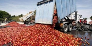 alimentos desperdicio