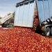 alimentos desperdicio