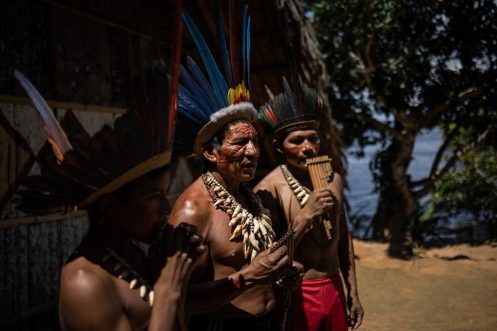 Durante el gobierno de Bolsonaro se ha recrudecido la deforestación de la Amazonía