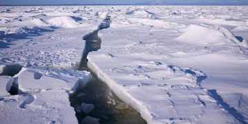 Hielo marino del Ártico