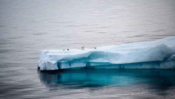 calentamiento del Océano Ártico
