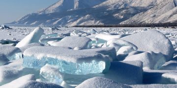 Putin cambio climático