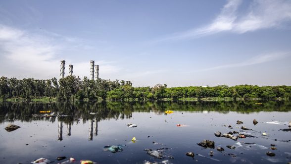 Ambientalistas ecocidios