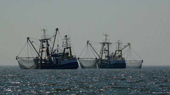 pesca de arrastre UE