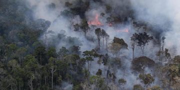 Amazonas