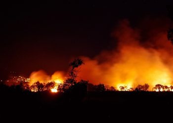 por cambio climático