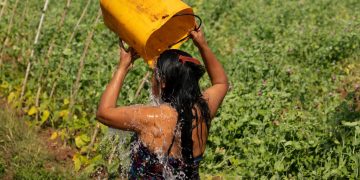 gestión agua vida