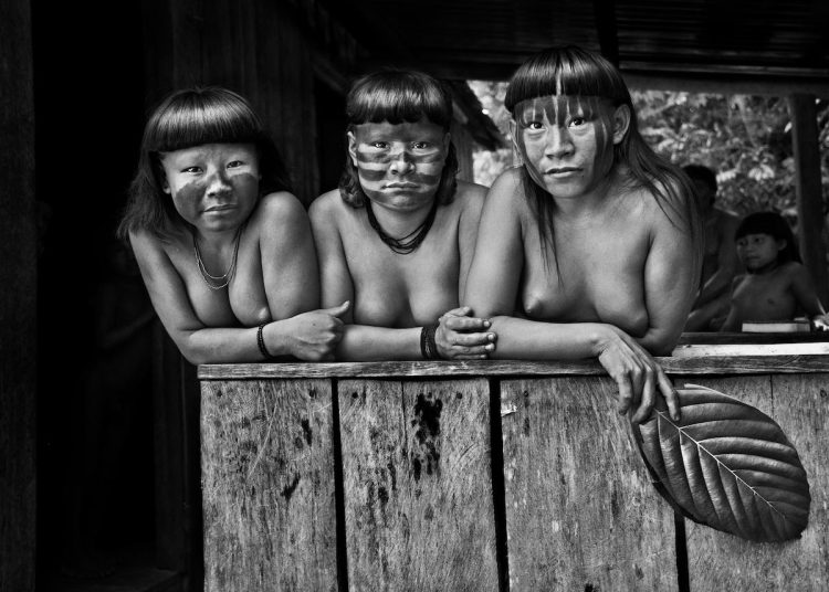 Amazonia Salgado