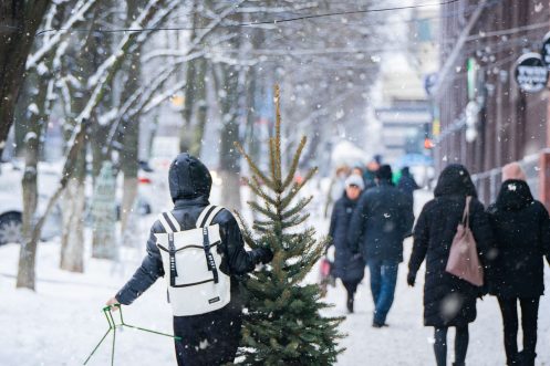 árboles de Navidad