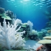 Blanqueamiento corales