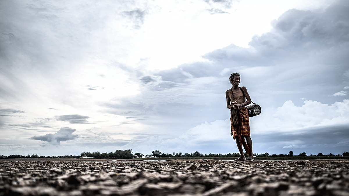 cultivos resilientes