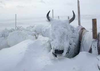 Invierno Mongolia