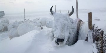 Invierno Mongolia