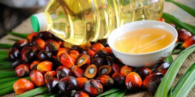 En Sulawesi o Kalimantan, pesticidas y herbicidas, de uso común en las plantaciones de aceite de palma, han contaminado el agua. Es inutilizable para cocinar, bañarse y beber. 