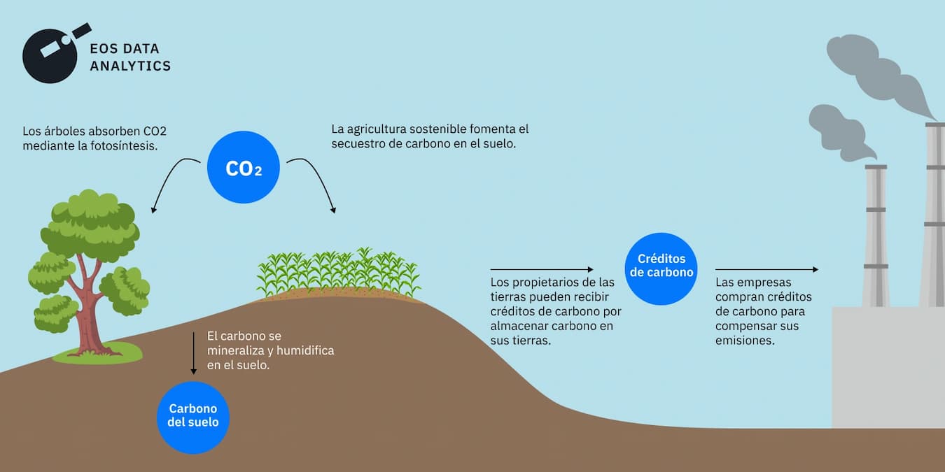 los estafadores  carbono