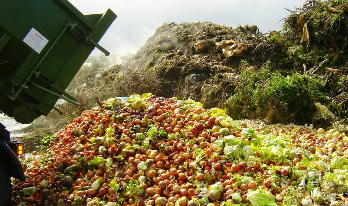 desperdiciar alimentos