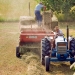 Producción agrícola España