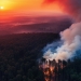 globos incendios forestales