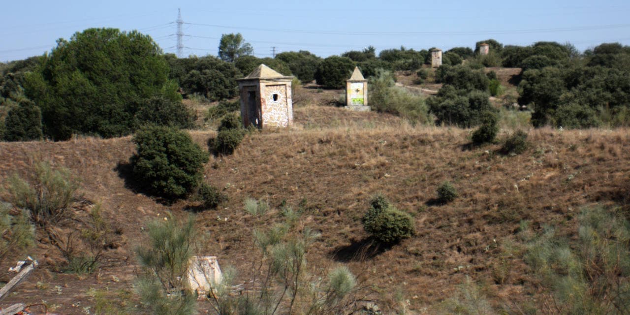 el bosque Montegancedo