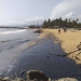 El vertido de crudo afecta también al Parque Nacional Morrocoy. Una ensenada paradisíaca de islotes o cayos con arrecifes y manglares de unos 320 kilómetros cuadrados.