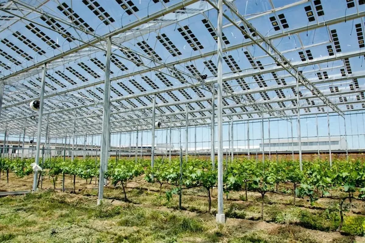 la energia solar agricultura