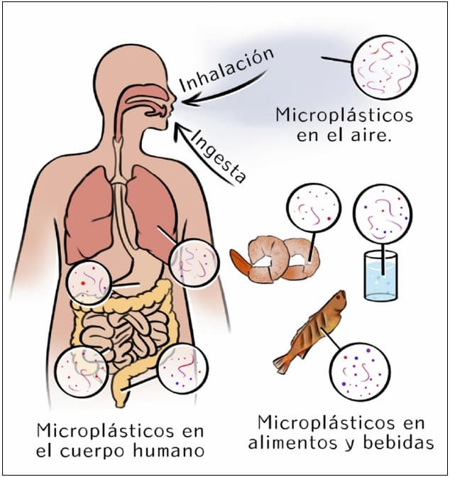 tóxicos