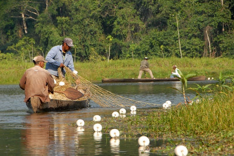 la amazonia colombiana