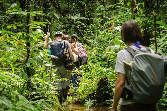 la amazonia colombiana