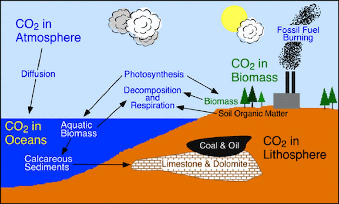 agua   absorber CO2