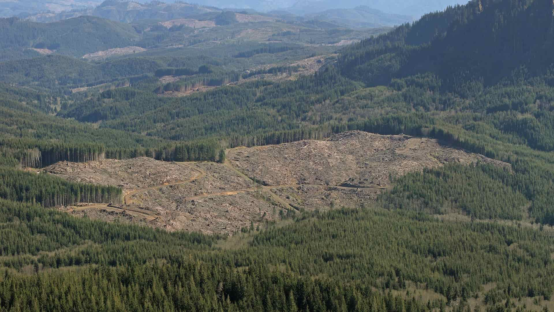 bosques de oregon