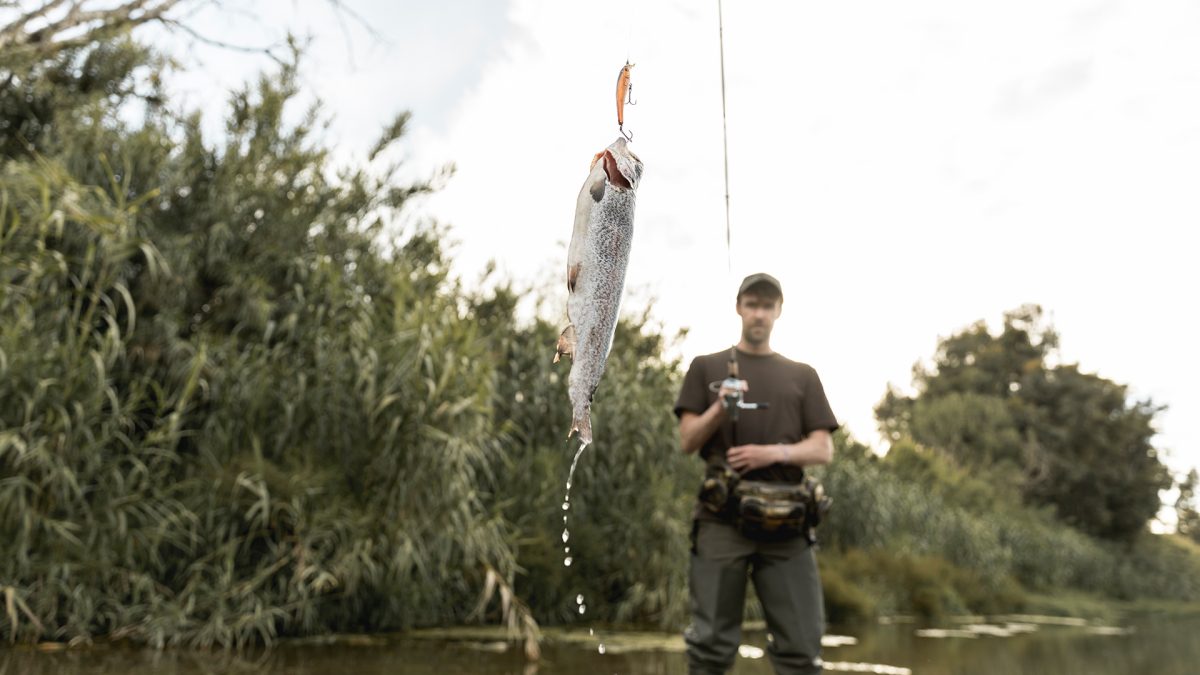 pesca deportiva