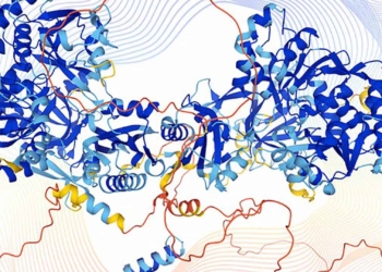 nobel de quimica proteinas