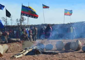 Mapuche