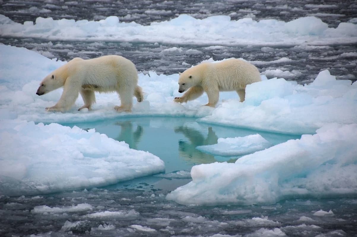 acuerdo climatico de Paris  emisiones