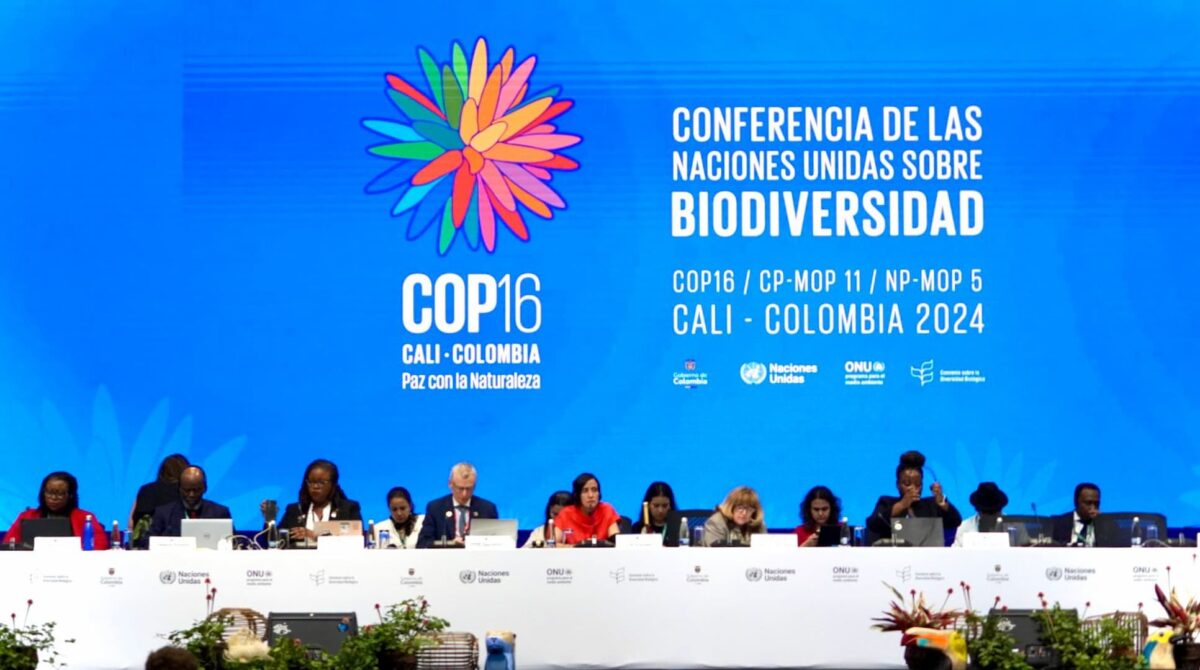 COP16 Estados Unidos