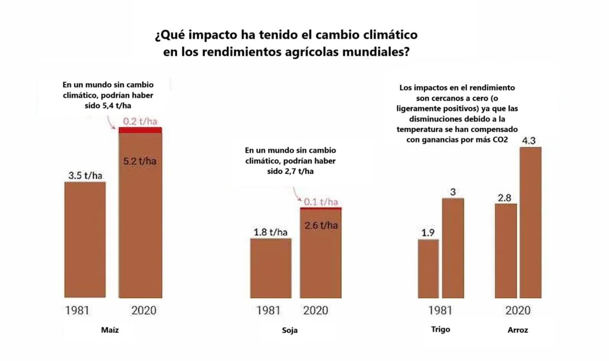 cultivos