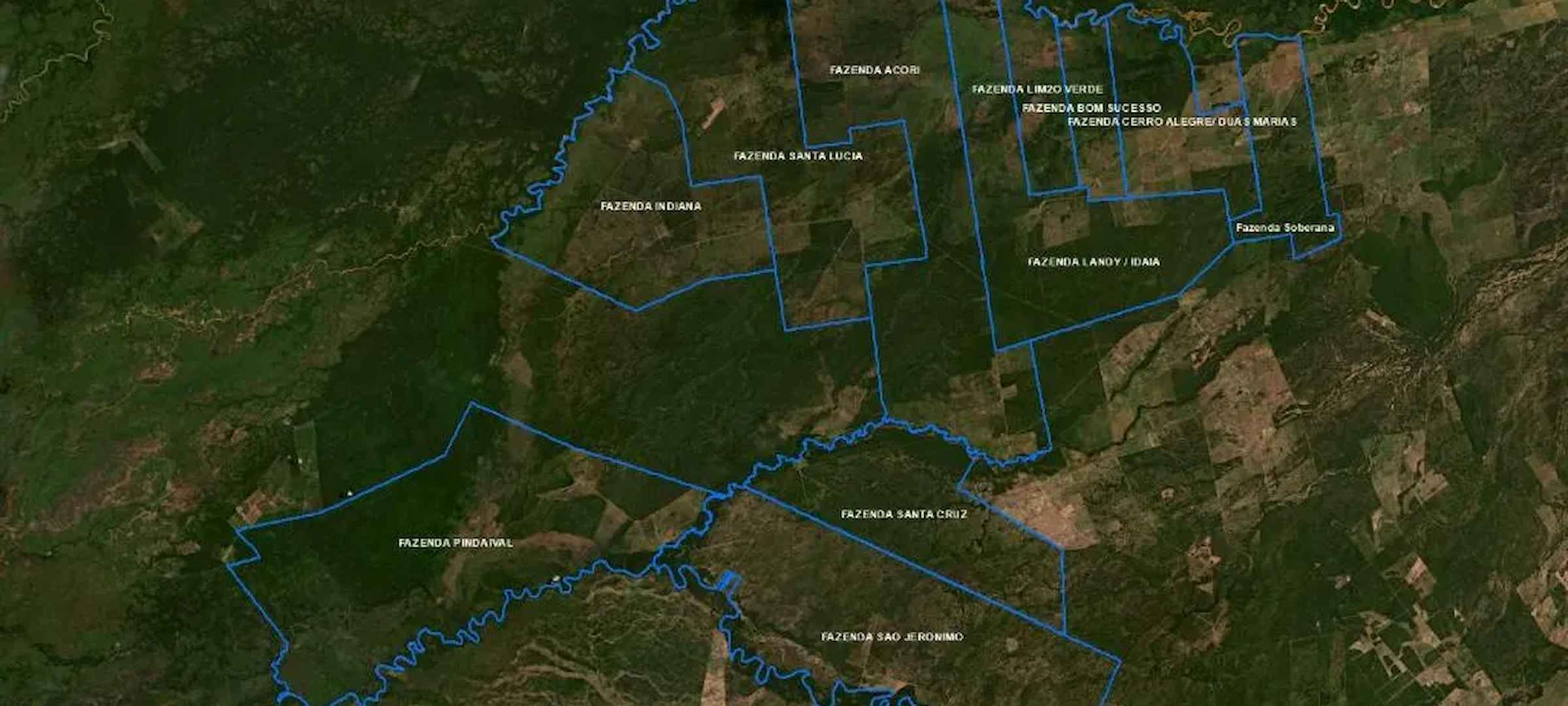 deforestacion quimica