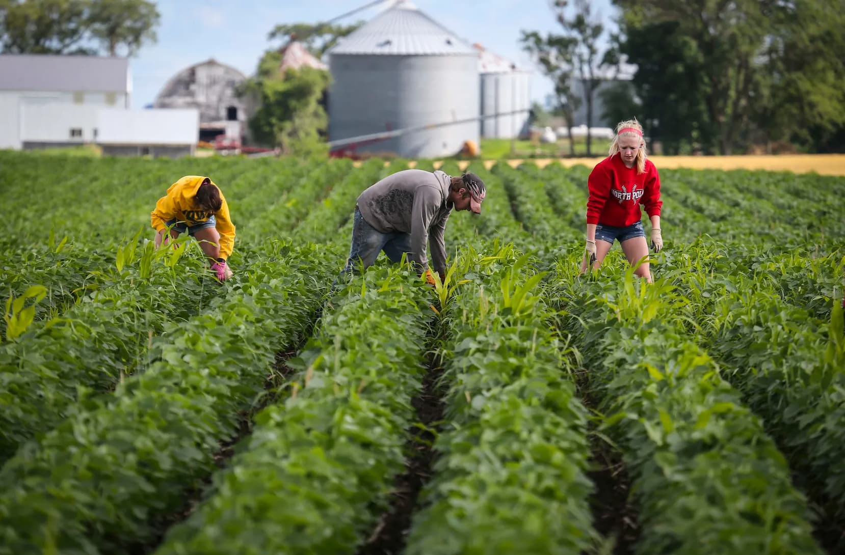 La Agricultura Org Nica Gana Terreno En Estados Unidos Cambio